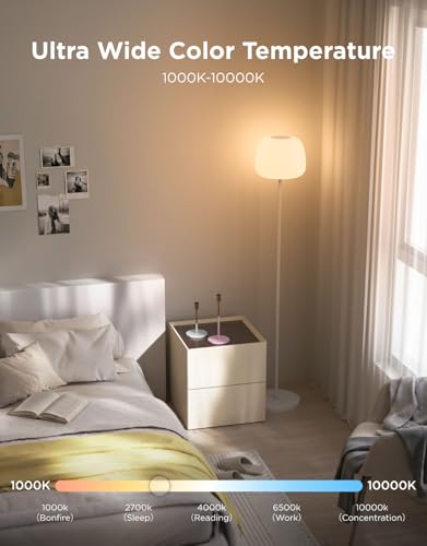 Lantern Floor Lamp