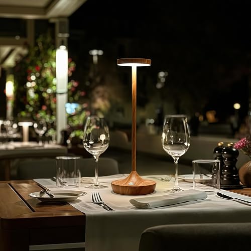 2 Pack Cordless Table Lamps