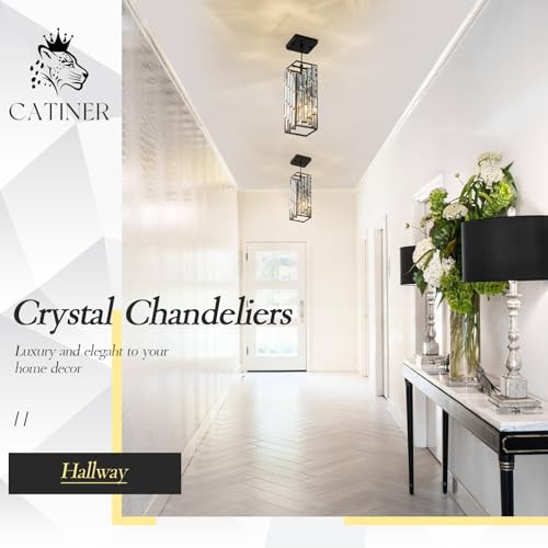 Black Crystal Pendant Light