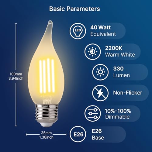 CA11 E26 LED Candelabra Bulbs (48 Count)