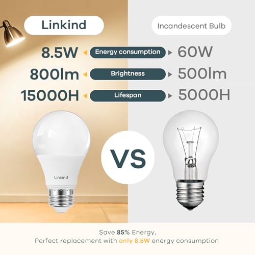 A19 LED Light Bulbs (6 Count)