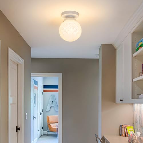 Semi Flush Mount Ceiling Light