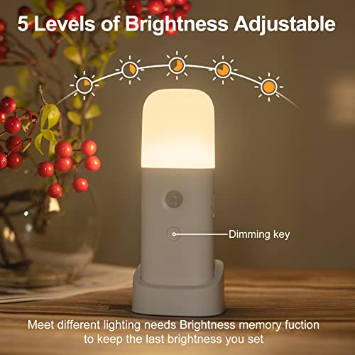 Motion Sensor Night Lights Indoor