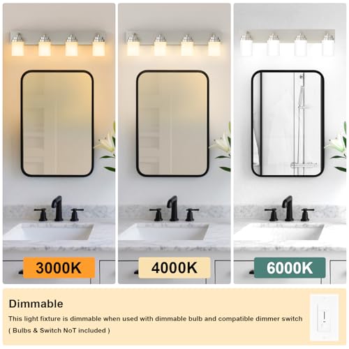 Bathroom Vanity Light Fixture