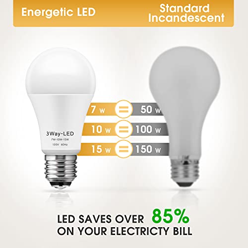 LED Light Bulbs (4 Count)