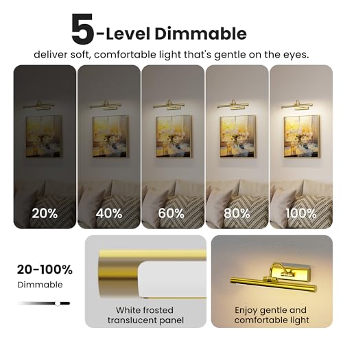 Picture Light for Wall Battery Powered