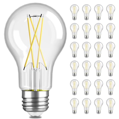 A19 LED Edison Light Bulb (24 Count)