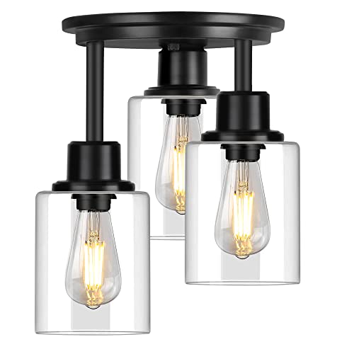 Semi Flush Mount Ceiling Light