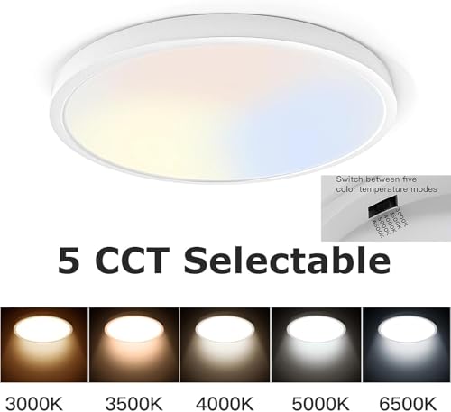 Flush Mount LED Ceiling Light (2 Count)