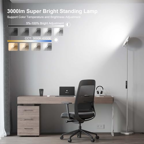 Floor Lamps for Living Room