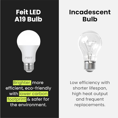 A19 LED Light Bulbs (4 Count)
