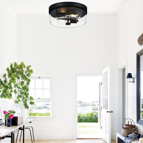Flush Mount Ceiling Light Fixtures