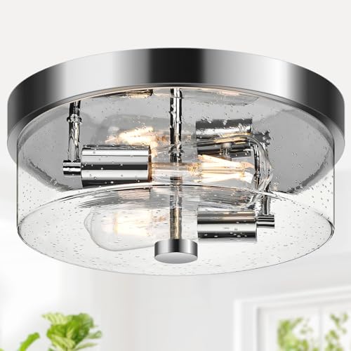 Flush Mount Ceiling Light Fixtures (2 Count)