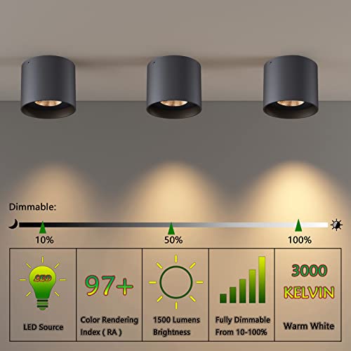 Ceiling Light Fixture (2 Count)