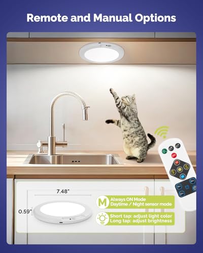Waterproof Shower Light Battery Operated Ceiling Light with Remote