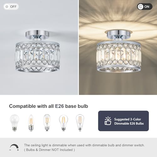 Crystal Chrome Ceiling Light