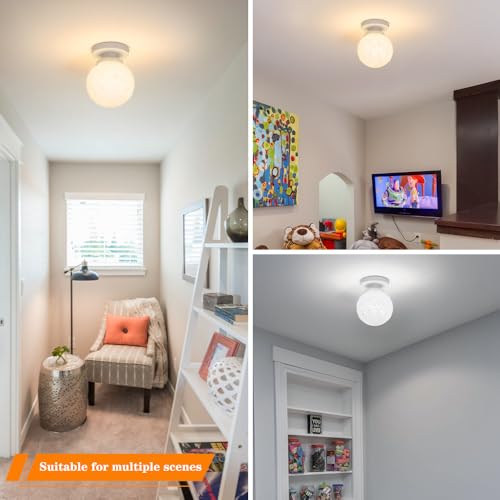 Semi Flush Mount Ceiling Light