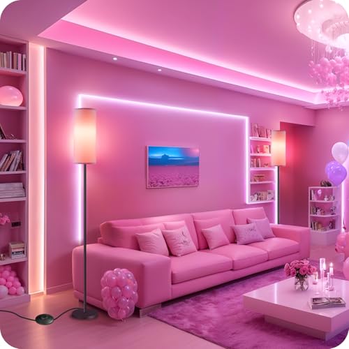 2 Pack Dimmable Pink Floor Lamps for Living Room with 2 Remotes and Foot Switch (2 Count)