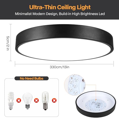Flush Mount Ceiling Light (Black)
