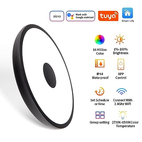 Black Smart Waterproof LED Flush Mount Ceiling Light Fixture