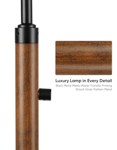 Dimmable Floor Lamp for Living Room