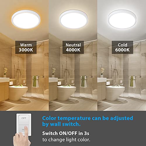 Dimmable Ceiling Light with Remote Control