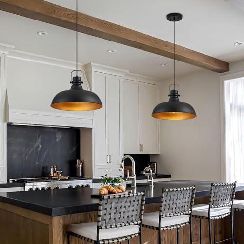 Black Farmhouse Pendant Lights for Kitchen Island 16 Inch