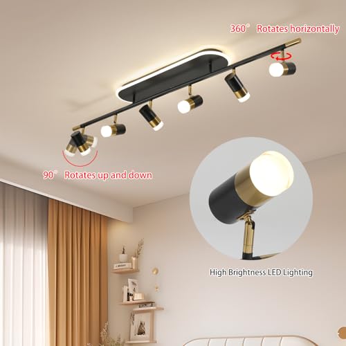 Modern LED Ceiling Lights