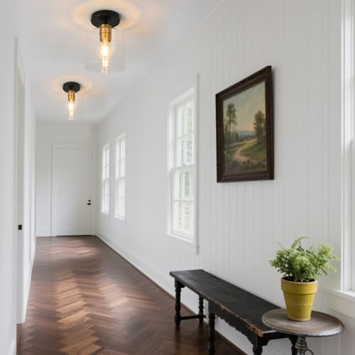 Black Brass Semi Flush Mount Ceiling Light