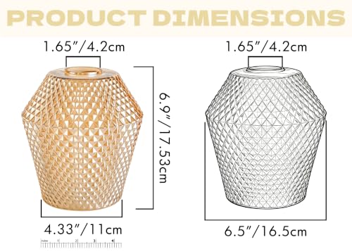 2Pcs Small Glass Lamp Shades (2 Count)