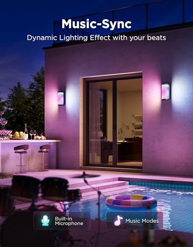 Outdoor Wall Light Pro (2 Count)