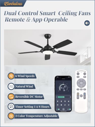 52 Inch Black Ceiling Fans with 3CCT Lights and Remote (Black / 52")