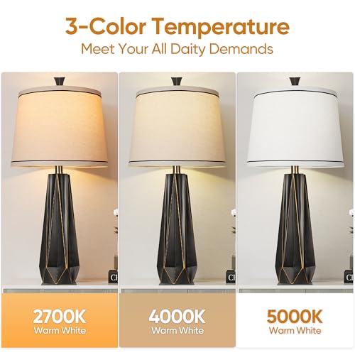 27" Black Gold Rim Resin Table Lamp (2 Count)