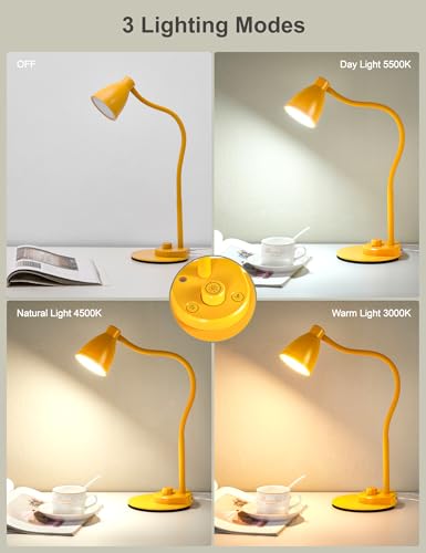 LED Desk Lamp with USB Charging Port 3 Color Modes Fully Dim
