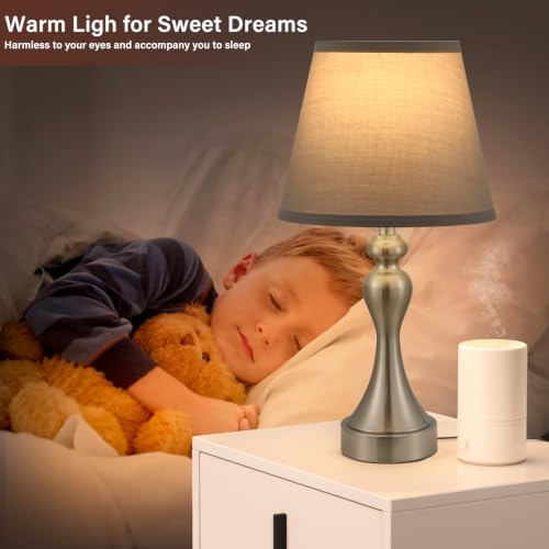 Touch Lamps for Nightstand (2 Count)