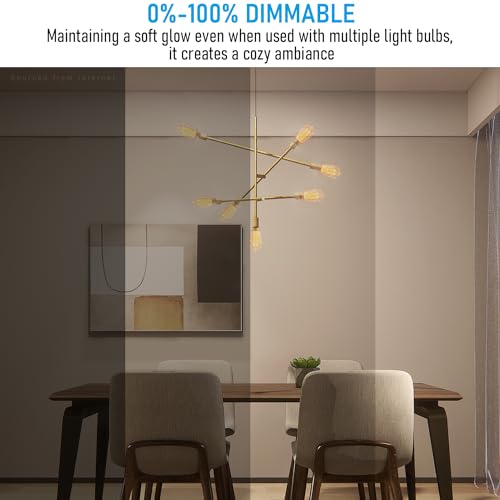 6 Pack LED ST64 Vintage Edison Bulbs (6 Count)