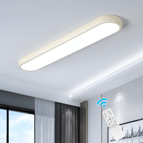 LED Ceiling Light