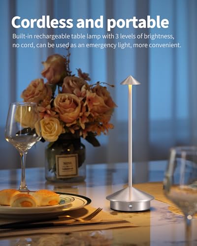 Modern Cordless Table Lamp Set of 2 (2 Count)