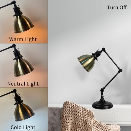 Desk Lamp for Home Office