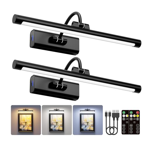 2 Pack Picture Lights for Wall 6000mAh (2 Count)
