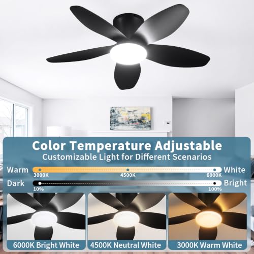 Small Ceiling Fan with Lights (32 Inch)