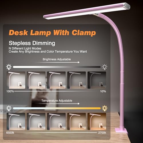 LED Desk Lamp with Clamp