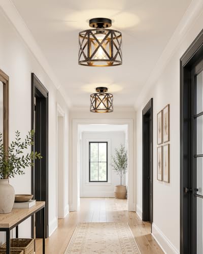 Farmhouse Semi Flush Mount Ceiling Light Fixture E26 Metal Cage Industrial Ceiling Lighting for Kitchen