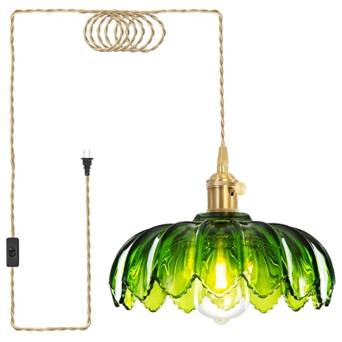 Plug in Pendant Light