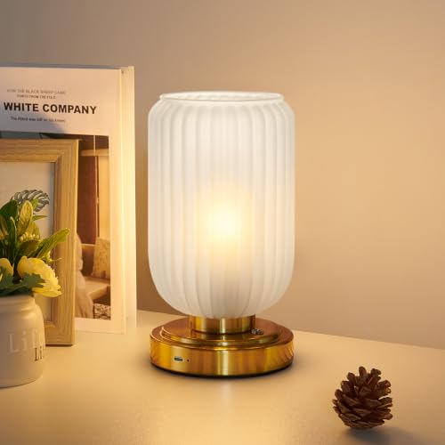 Cordless Table Lamp for Bedroom