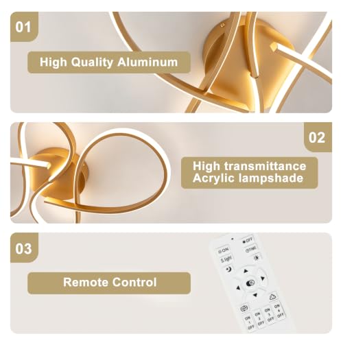 66W Dimmable Modern LED Ceiling Light Fixtures 3000K