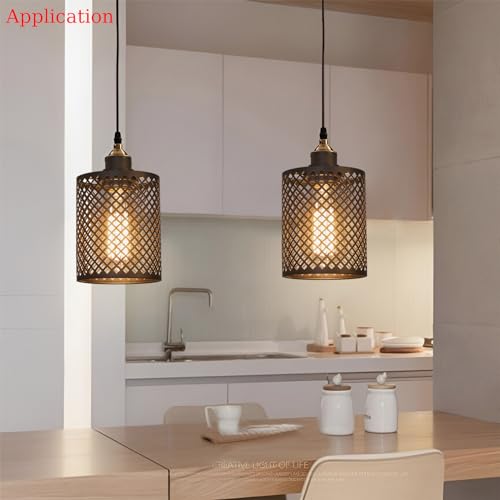 E26 to E26 Edison Light Fixture Vintage Black Metal Cage Light for Wall Sconce Pendant Floor Lamp & Ceiling Light Fixture
