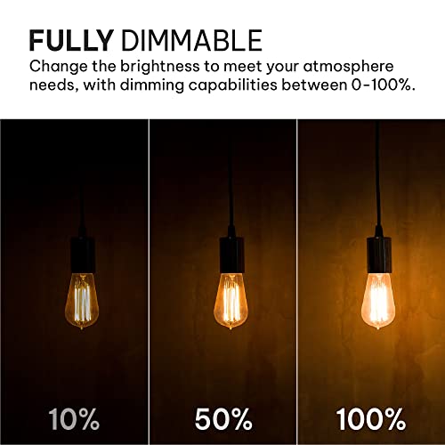 Vintage LED Edison Light Bulbs (6 Count)