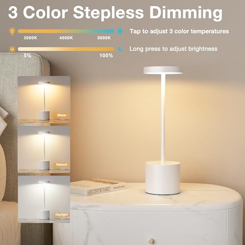 White Cordless Lamp Set