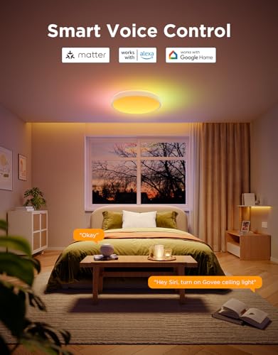 Smart Ceiling Light 4300LM 15 Inch